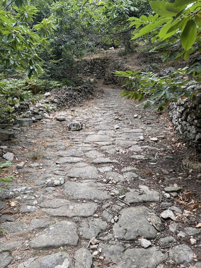 Les chemins incroyables autour de Haimavati.