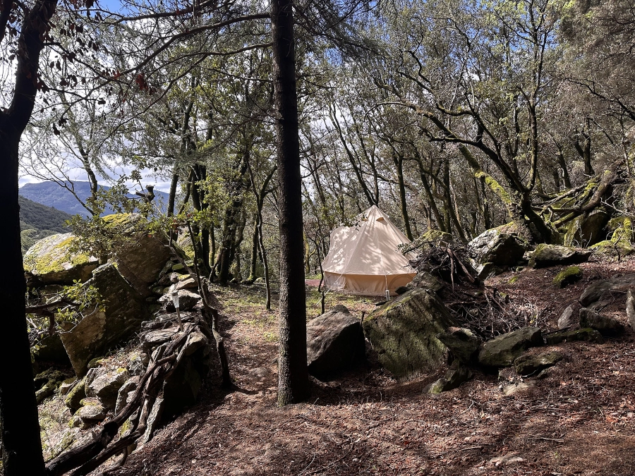 Deuxième tente dans la forêt de cèdres et de chênes verts, un lieu puissant minéral végétal.